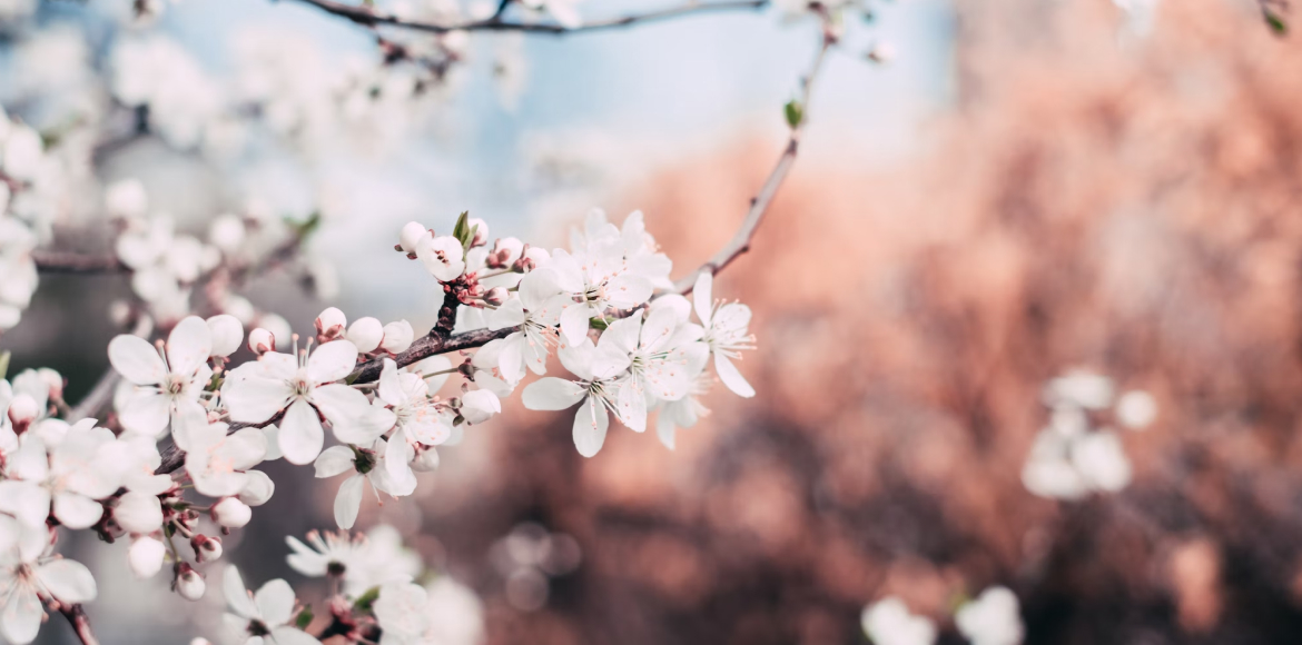 Astrologische Monatsvorschau auf den März 2023. Ein Monat mit großem Veränderungspotenzial setzt Maßstäbe für den Rest des Jahres