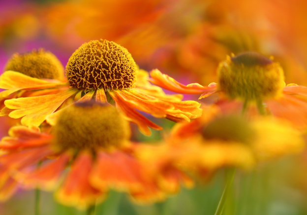 Spannungsgeladen wie ein Sommergewitter und mit neuen Möglichkeiten und Perspektiven zeigt sich der Hochsommer