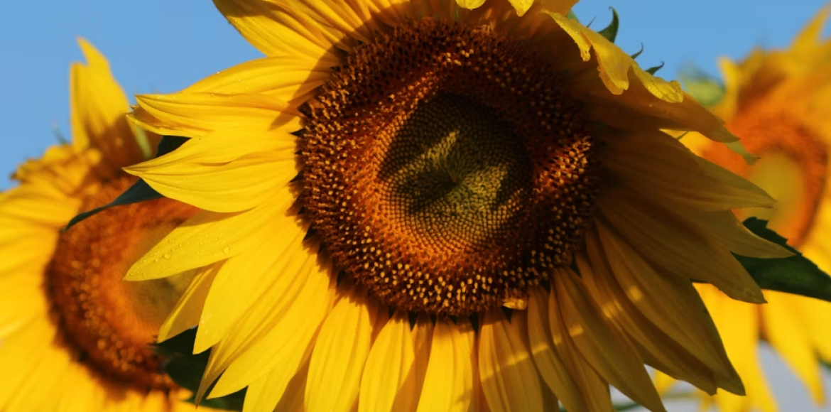 August 2025: Bewegung zwischen Struktur, Vision und Realitätssinn