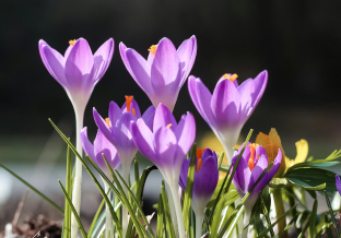 Februar 2026: Zeit für einen Kurswechsel