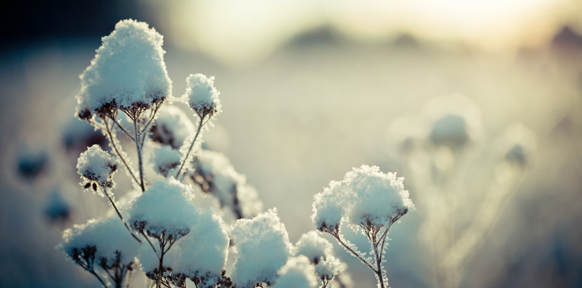 Astrologische Monatsvorschau auf den Januar 2023: Im tiefen Winter bahnt sich zwischen alten und neuen Zeiten ein Hauch von wirklichem Wandel an