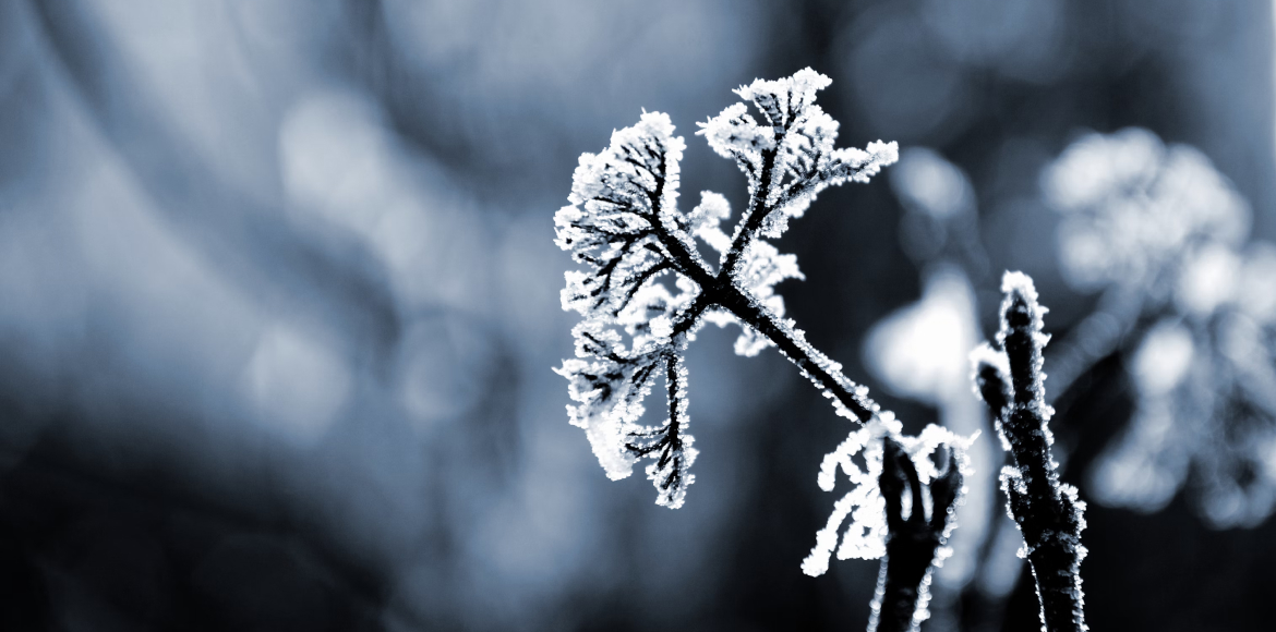 Astrologische Monatsvorschau auf den Januar 2025: Der Jahresanfang steht noch ganz unter dem Einfluss des Vorjahres