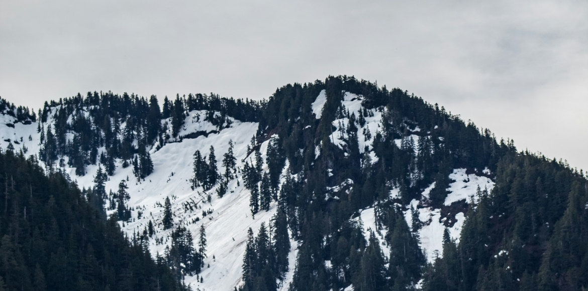 Januar 2026: Mit der notwendigen klaren Ausrichtung weist uns der Jahresbeginn den Weg ins neue Jahr