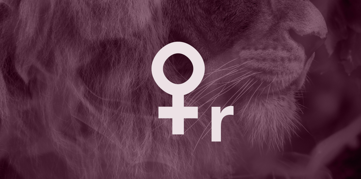 Thema des Monats: Von der Schönheit der Vergänglichkeit – die Venus und ihre Lehren aus ihrer seltenen rückläufigen Phase