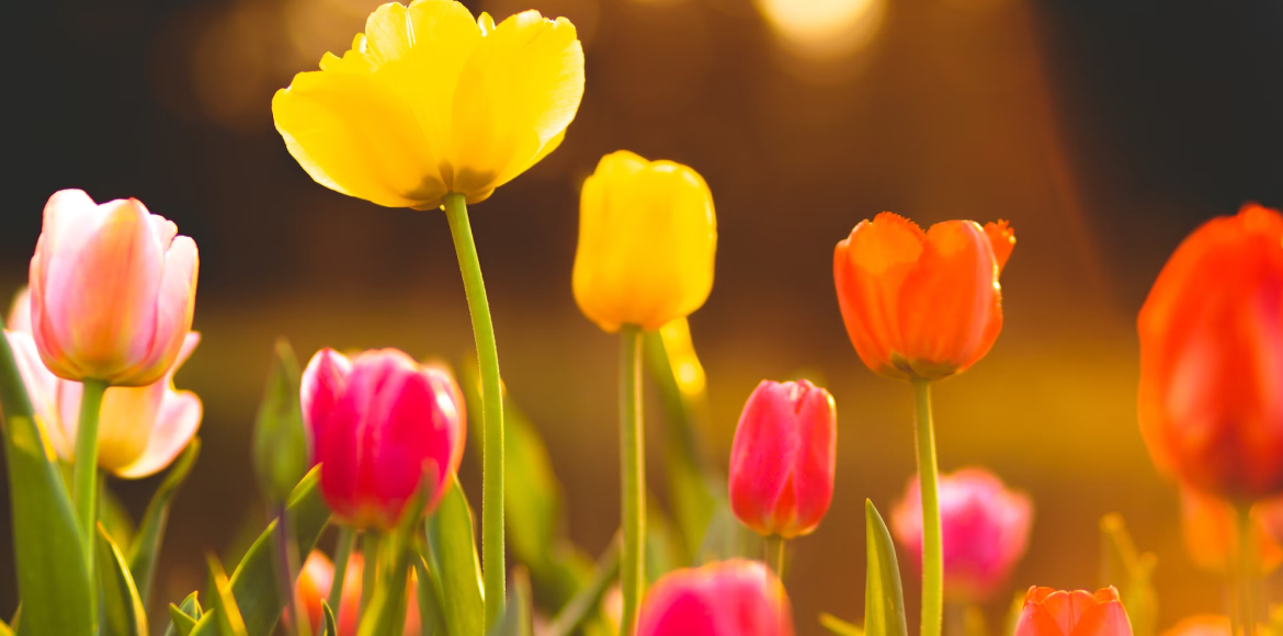 Astrologische Monatsvorschau auf den März 2023. Ein Monat mit großem Veränderungspotenzial setzt Maßstäbe für den Rest des Jahres