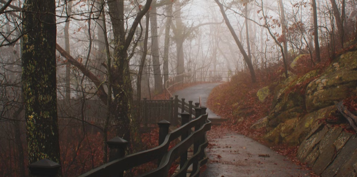 November 2025: Neukalibrierung zwischen Vergangenheit und Zukunft