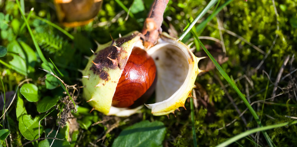 September 2026: Jede Veränderung braucht ein tragfähiges Fundament